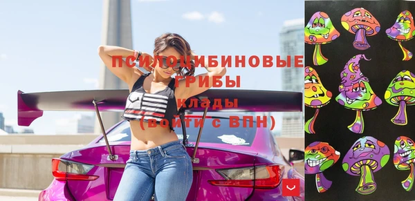 стаф Володарск